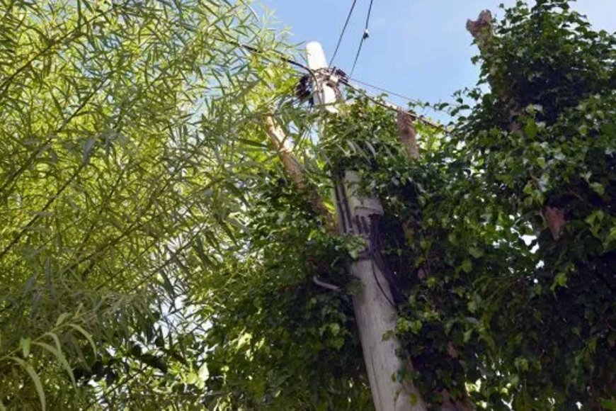 Trabajador perdió la estabilidad mientras cambiaba unos cables y cayó desde 4 metros de altura